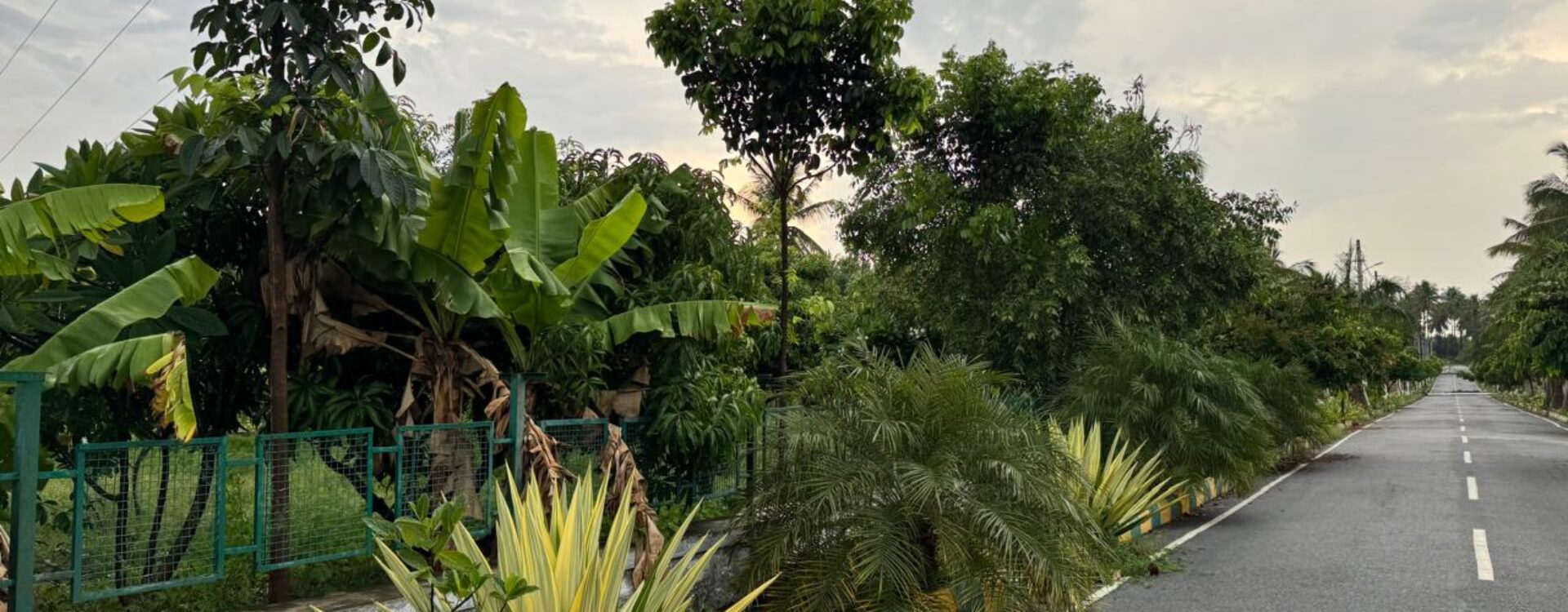 Aashrithaa Brindavan